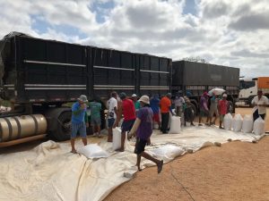 Tauá: Conab retoma venda de milho para criadores de 9 municípios da Região dos Inhamuns